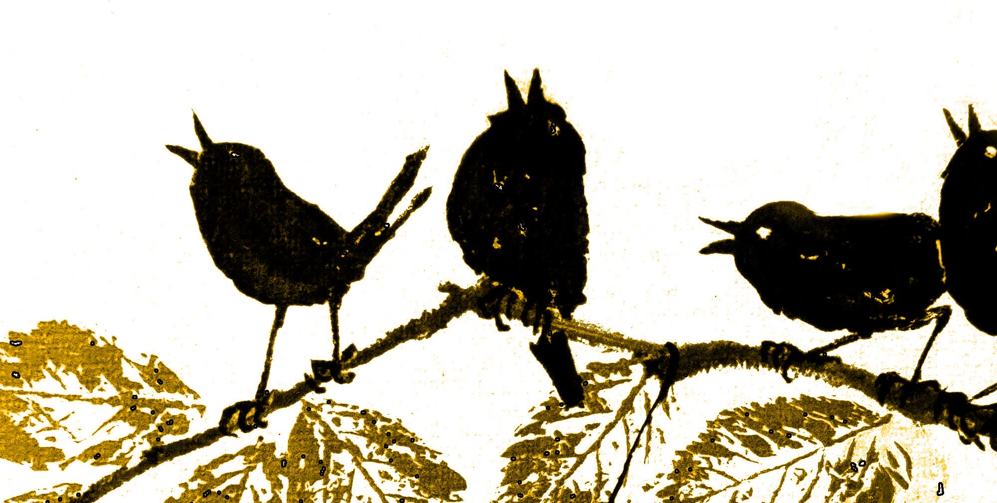 Vögel singen am Akazienhof