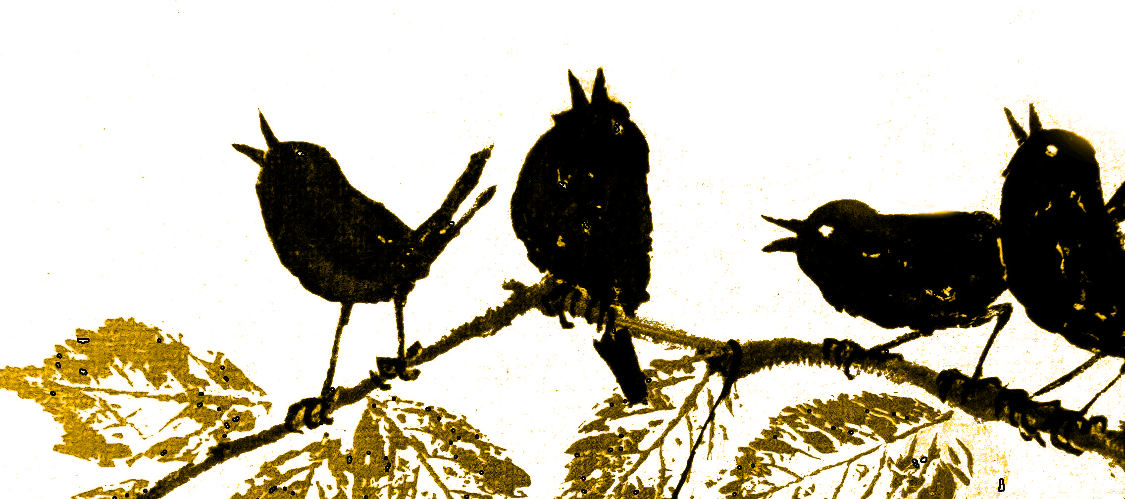 Vögel singen am Akazienhof